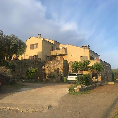 Chambres D'Hotes Casa Pruneta Saint-Florent  Ngoại thất bức ảnh